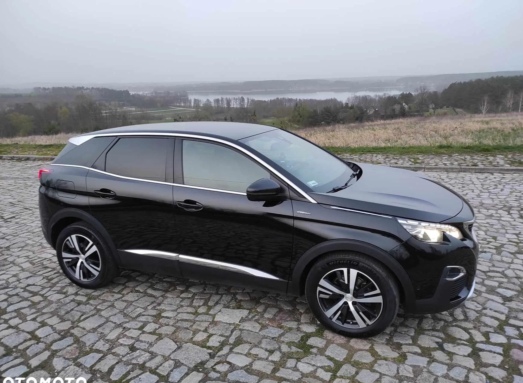 Peugeot 3008 cena 79000 przebieg: 172500, rok produkcji 2017 z Sieraków małe 277